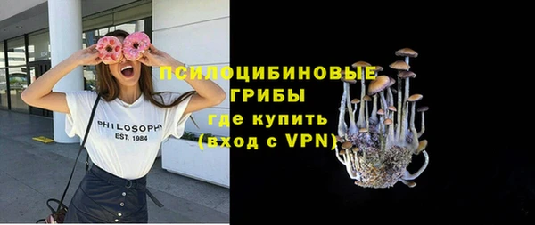 ПСИЛОЦИБИНОВЫЕ ГРИБЫ Абдулино