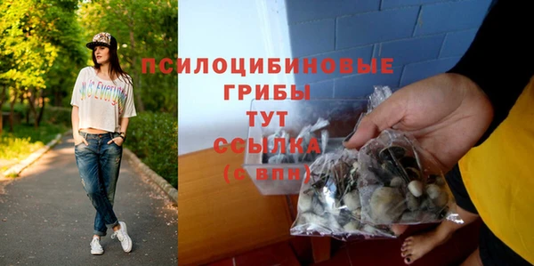 первитин Абинск