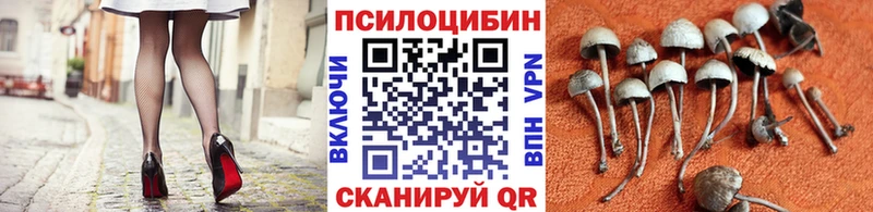 закладки  Донской  darknet Telegram  Псилоцибиновые грибы GOLDEN TEACHER  hydra зеркало 